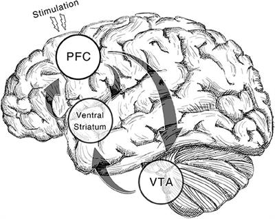 Effects of Non-invasive Brain Stimulation on Stimulant Craving in Users of Cocaine, Amphetamine, or Methamphetamine: A Systematic Review and Meta-Analysis